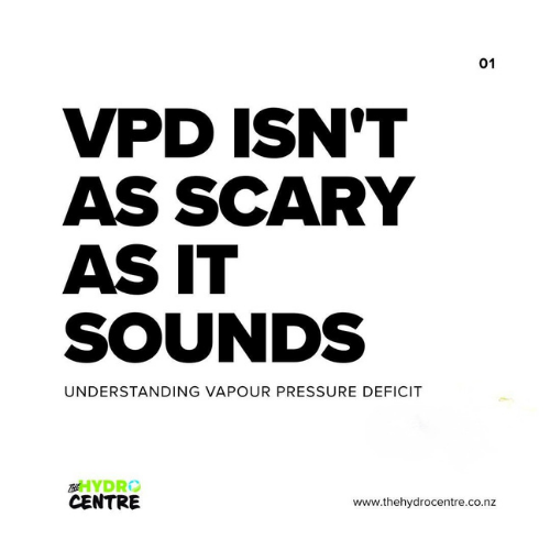 VPD Isn't As Scary As It Sounds