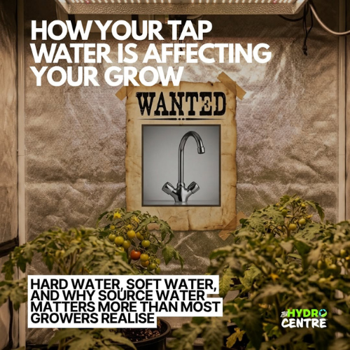 How your tap water is affecting your grow