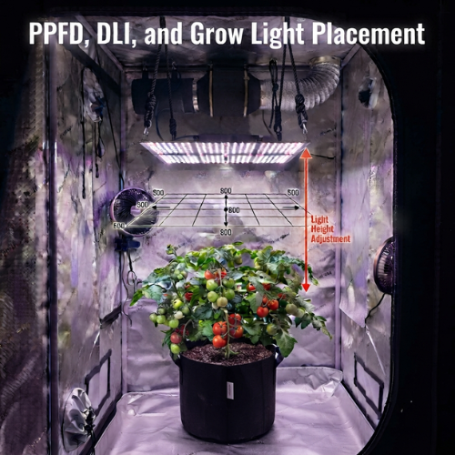 PPFD, DLI, and Grow Light Placement