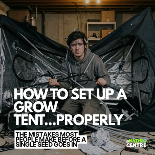 How to Set Up a Grow Tent Properly