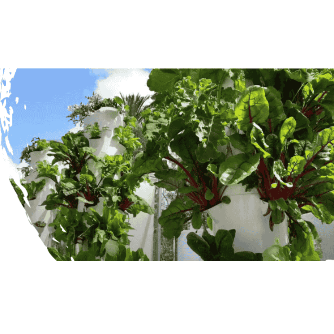 Hydroponic Tower - 5 Layer 1.05m