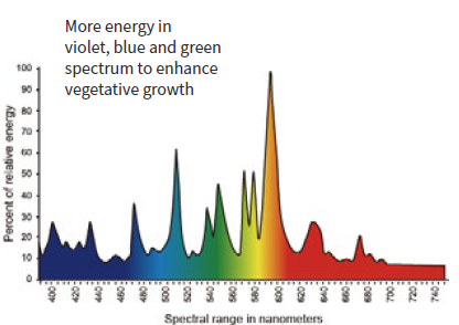 MH Conversion Bulb 600W