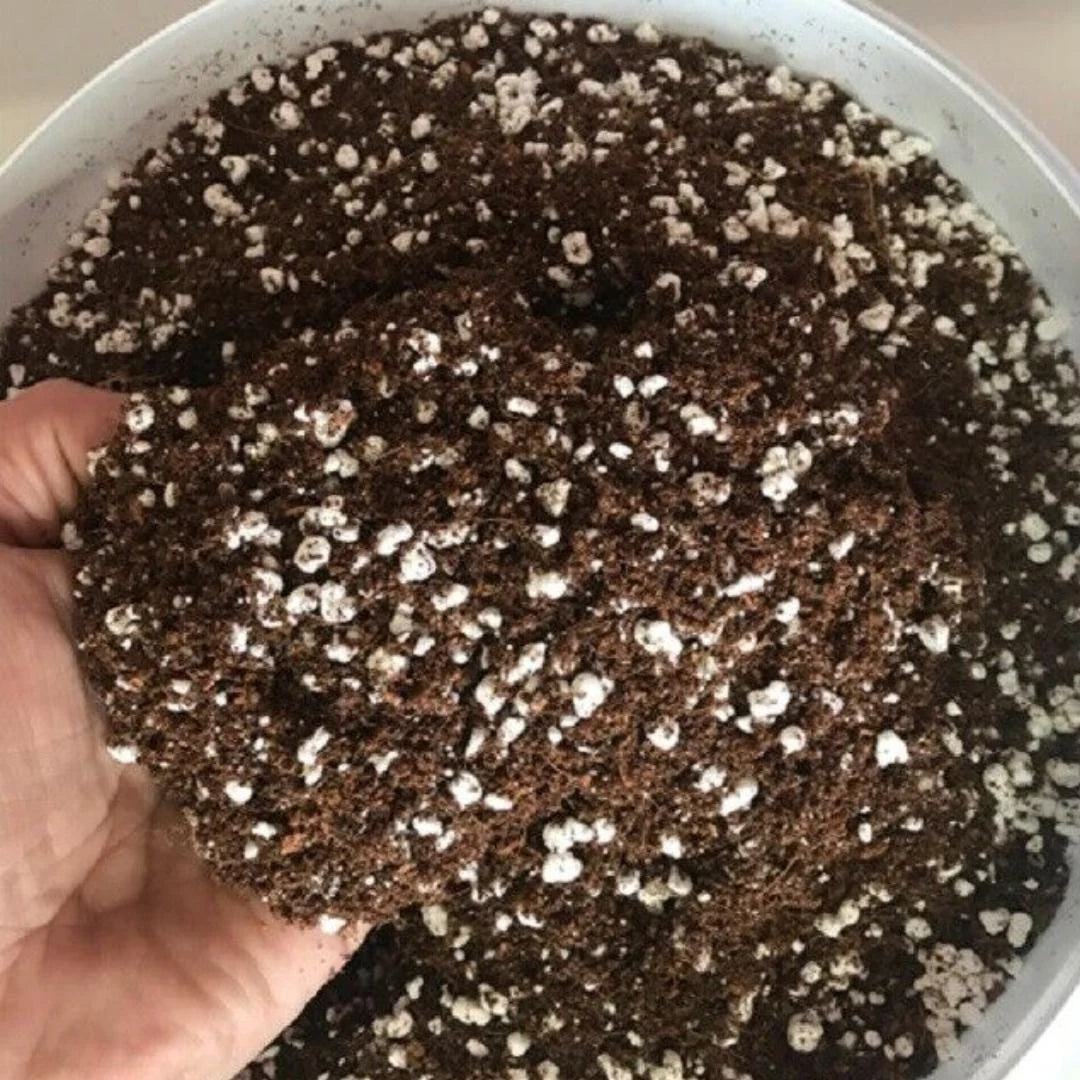 CocoGrow Coco Perlite 70/30 50ltr