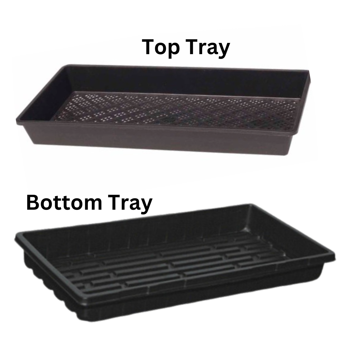 Microgreen Tray Set - 530x270x62mm