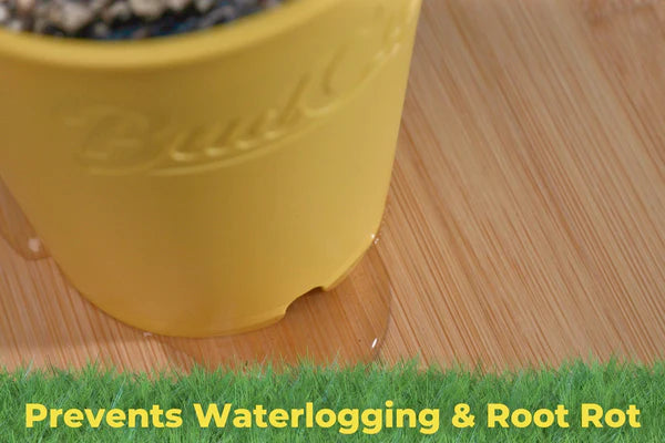 Bud Trainer BudCups Yellow