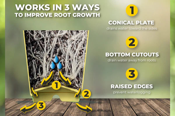 Bud Trainer BudCups Yellow