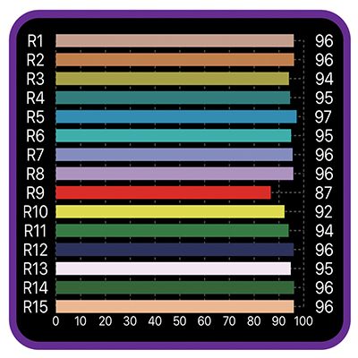 Hortivision QMH 315w 10k Finishing Bulb