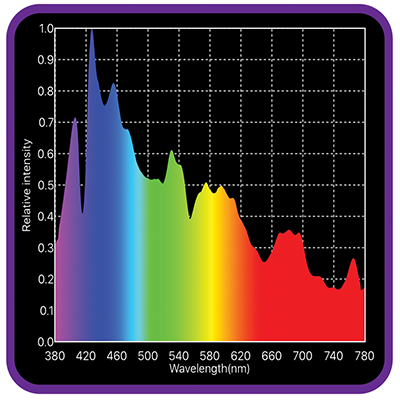 Hortivision QMH 315w 10k Finishing Bulb