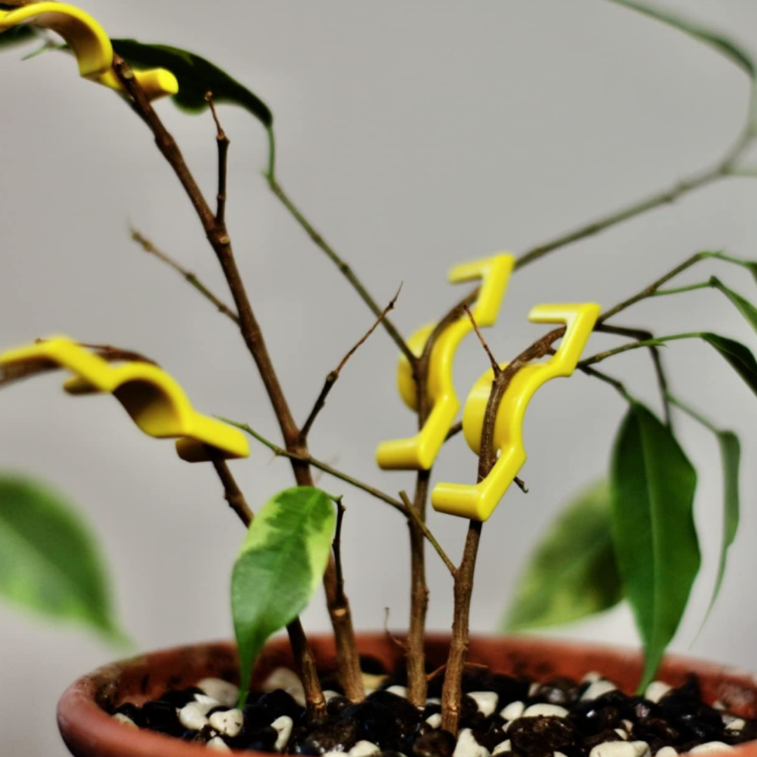 Bud Trainer BudClips - 20pk