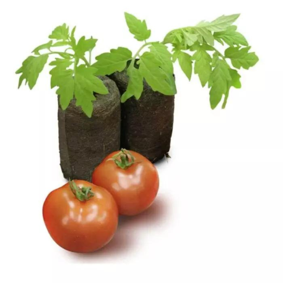 Jiffy 7 Pellets - 44mm