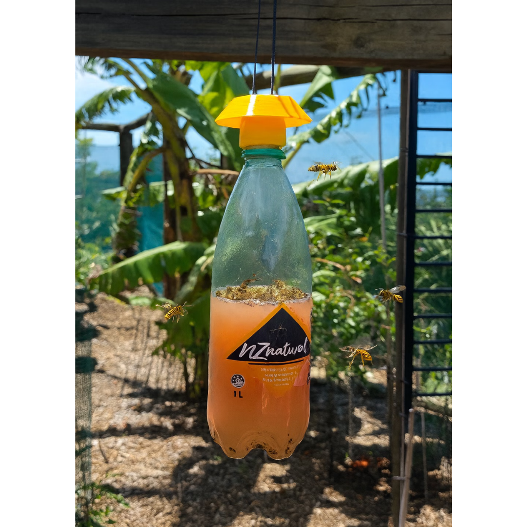 Bee Safe Wasp Trap - Fast, Safe, and Seriously Effective