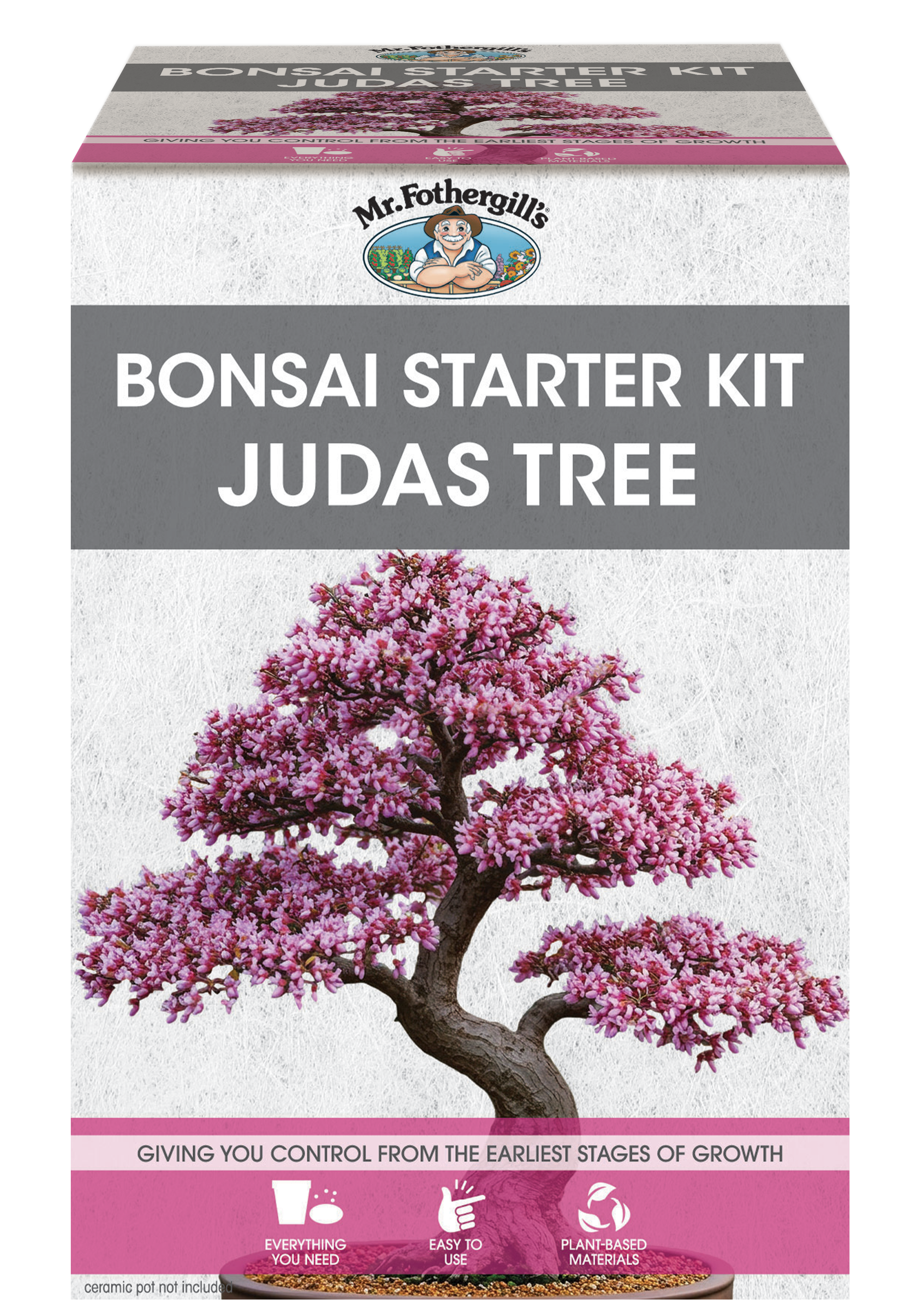 Bonsai Starter Kit - Judas Tree
