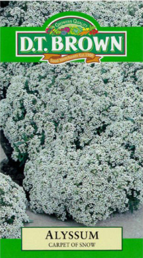 Alyssum - Carpet of Snow