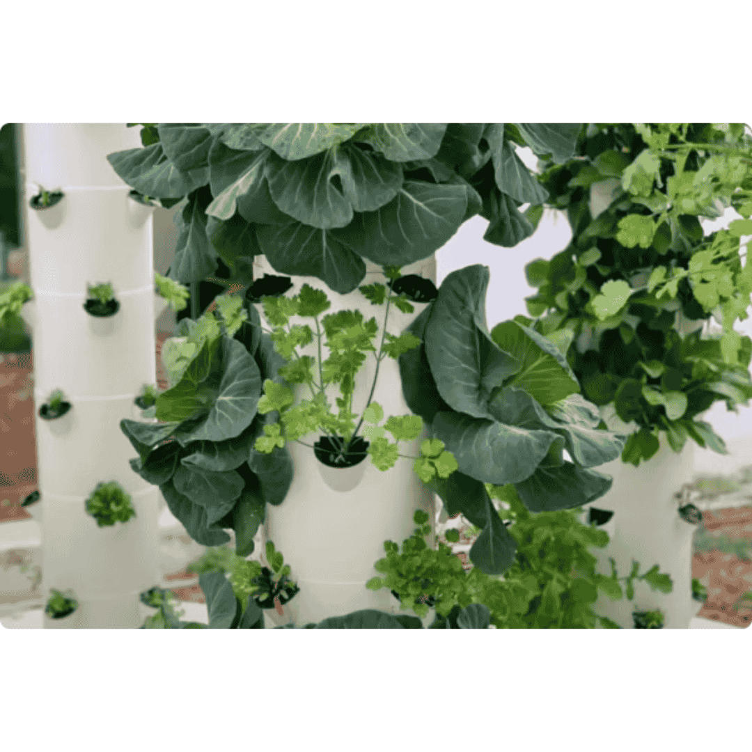 Hydroponic Tower - 5 Layer 1.05m