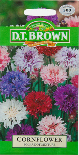 Cornflower - Polka Dot