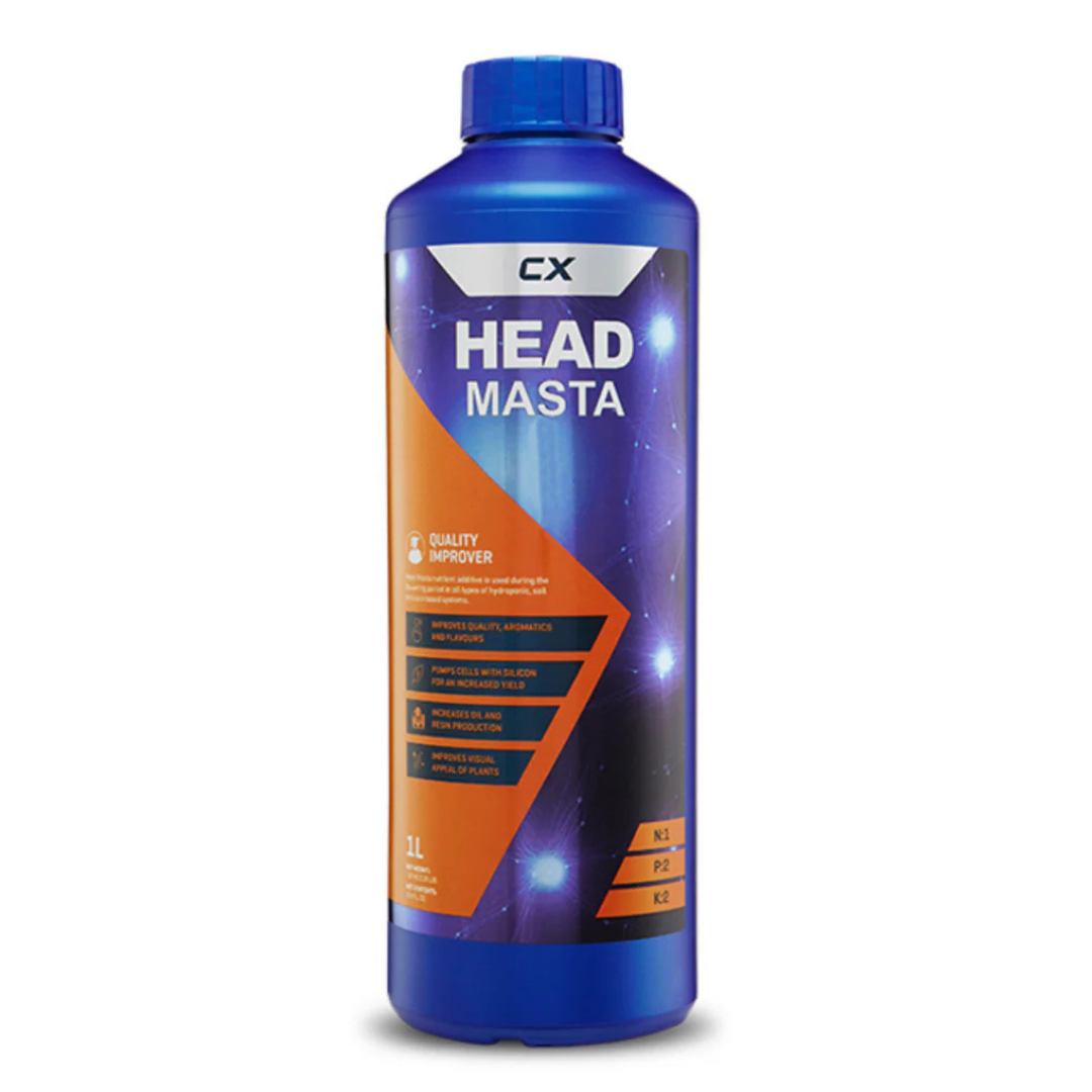 CX - Head Masta
