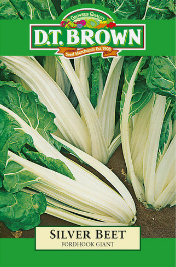 Silver Beet - Fordhook Giant