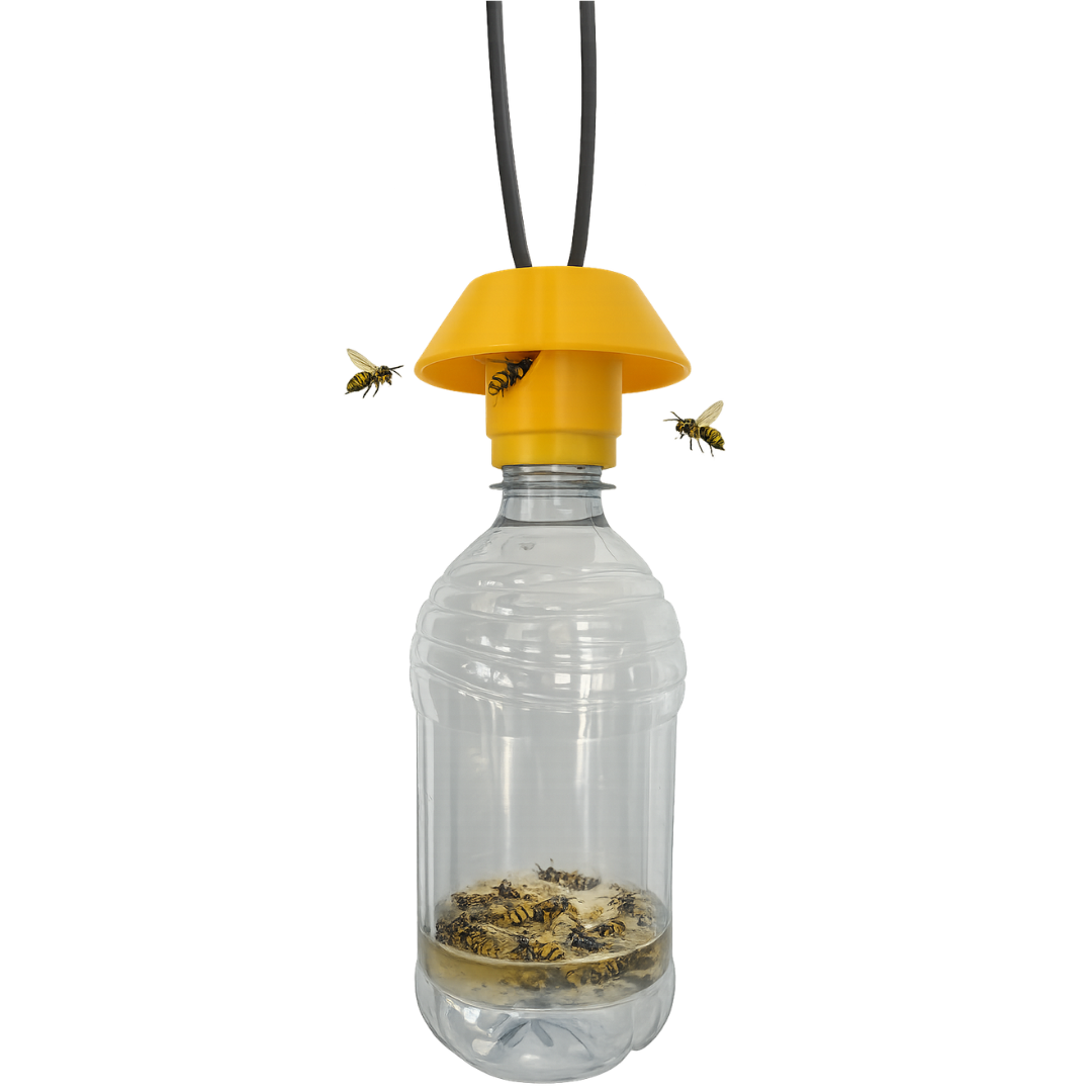 Bee Safe Wasp Trap - Fast, Safe, and Seriously Effective