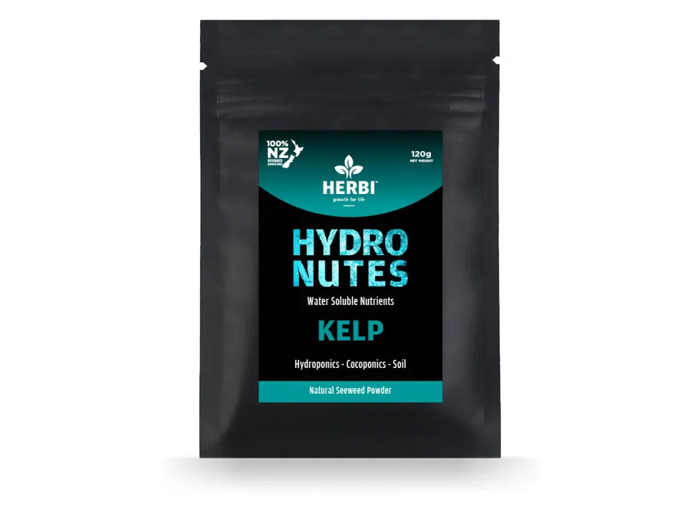 Herbi Kelp