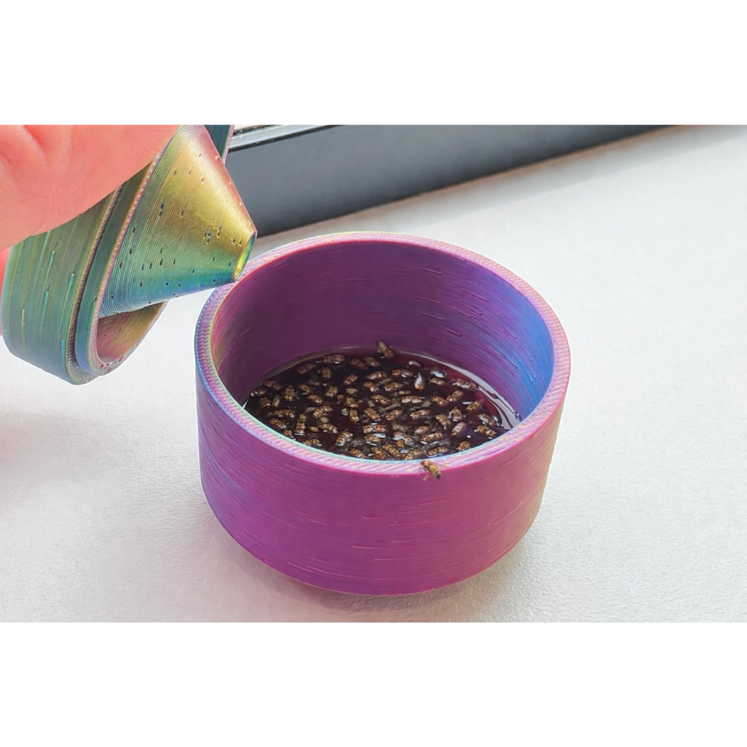 Indoor Reusable Fruit Fly Trap – NZ-Made & Chemical-Free