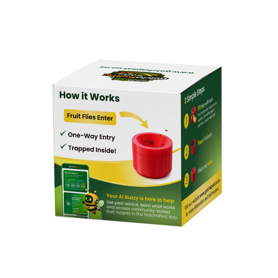 Indoor Reusable Fruit Fly Trap – NZ-Made & Chemical-Free