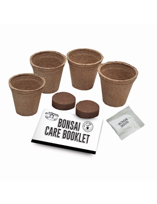 Bonsai Starter Kit - Judas Tree