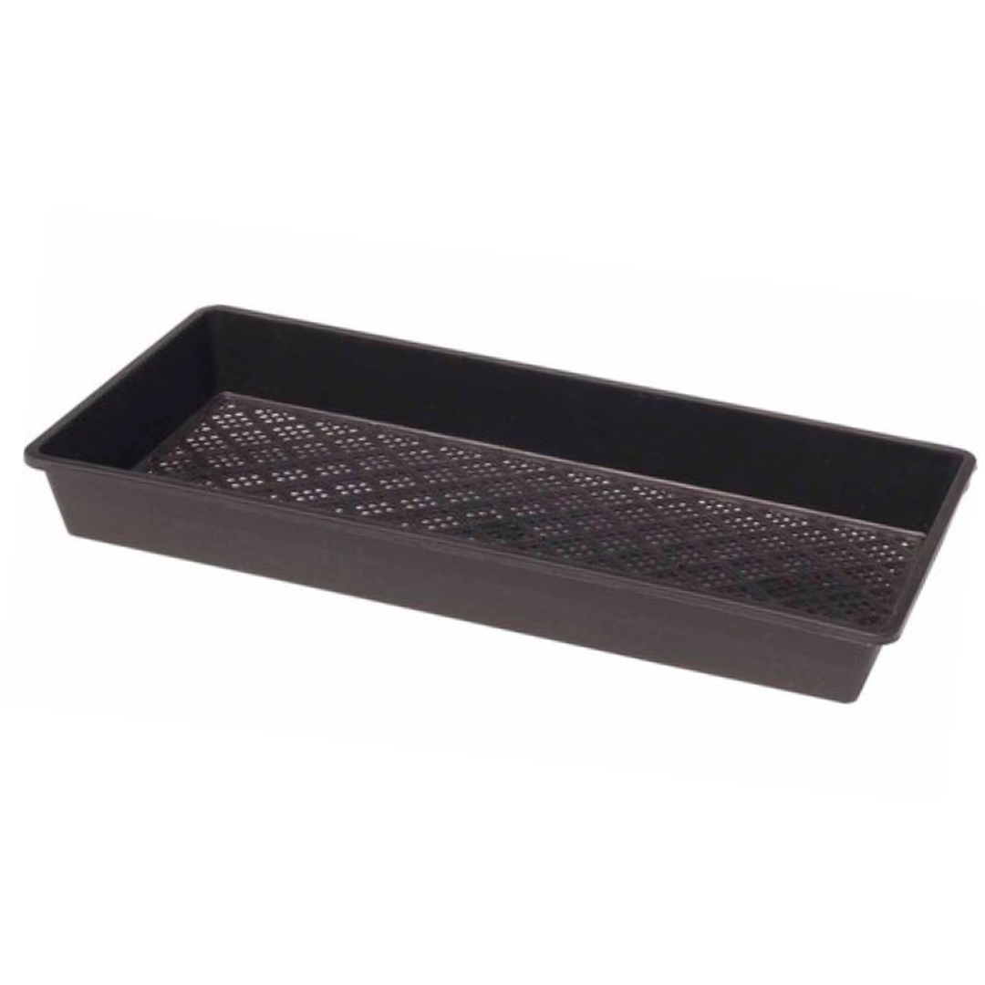 Microgreen Mesh Tray - 530x270x62mm