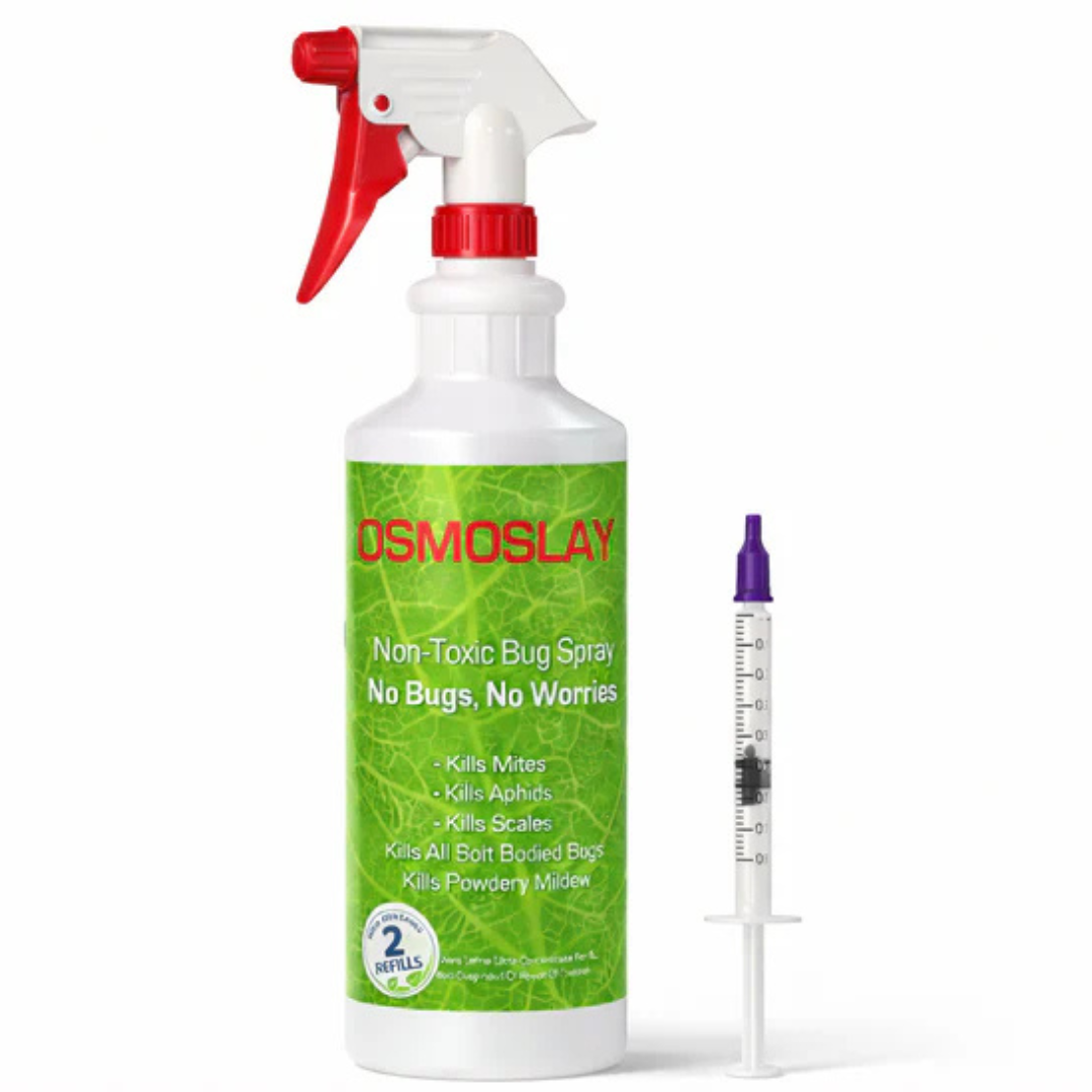 Osmoslay Starter Kit