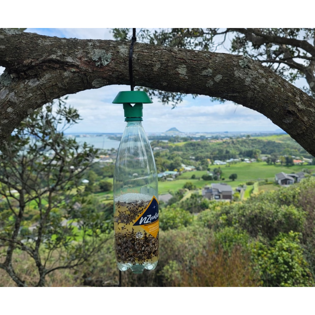 Reusable Outdoor Fly Trap