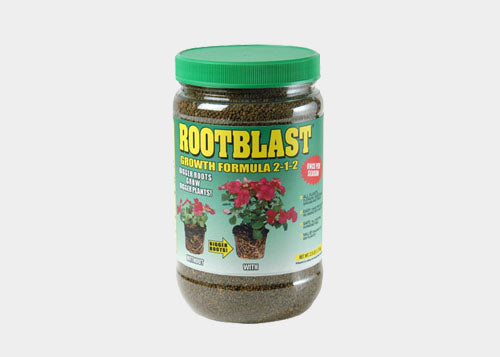Root Blast