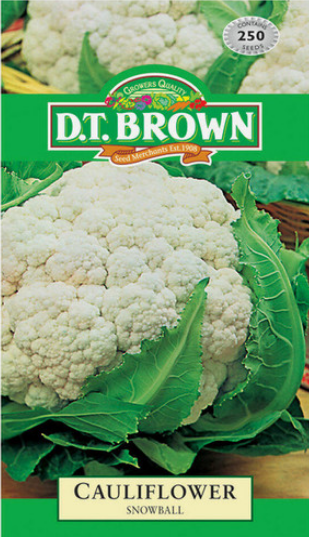 Cauliflower - Snowball