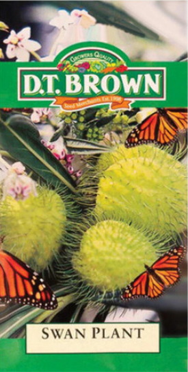 Swan Plant