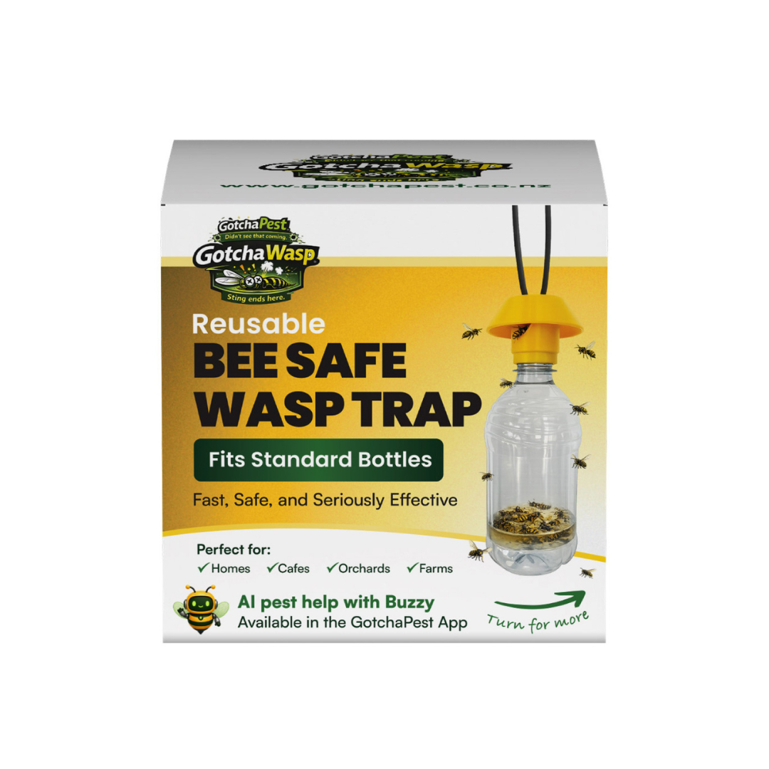 Reusable Bee Safe Wasp Trap