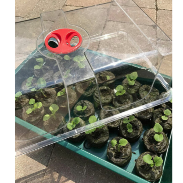 XL High Dome Propagator