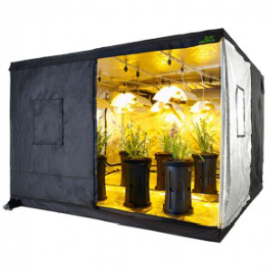 Jungle Room Grow Tents - Various Sizes