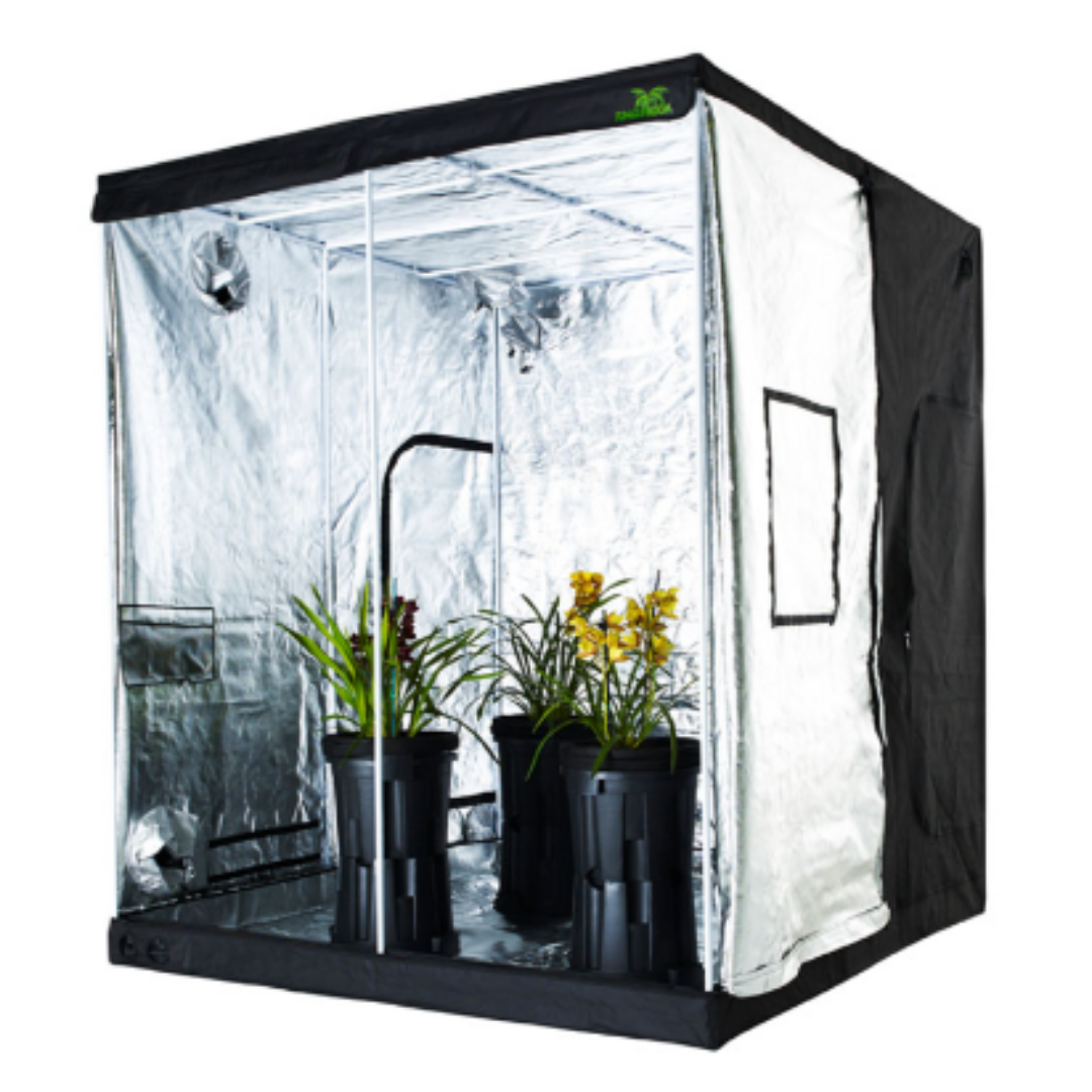 Jungle Room Pro Tents - Various Sizes