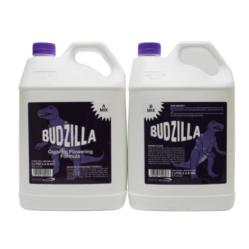 Budzilla A & B