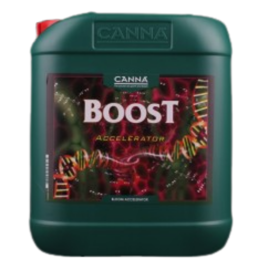 CANNA Boost Accelerator