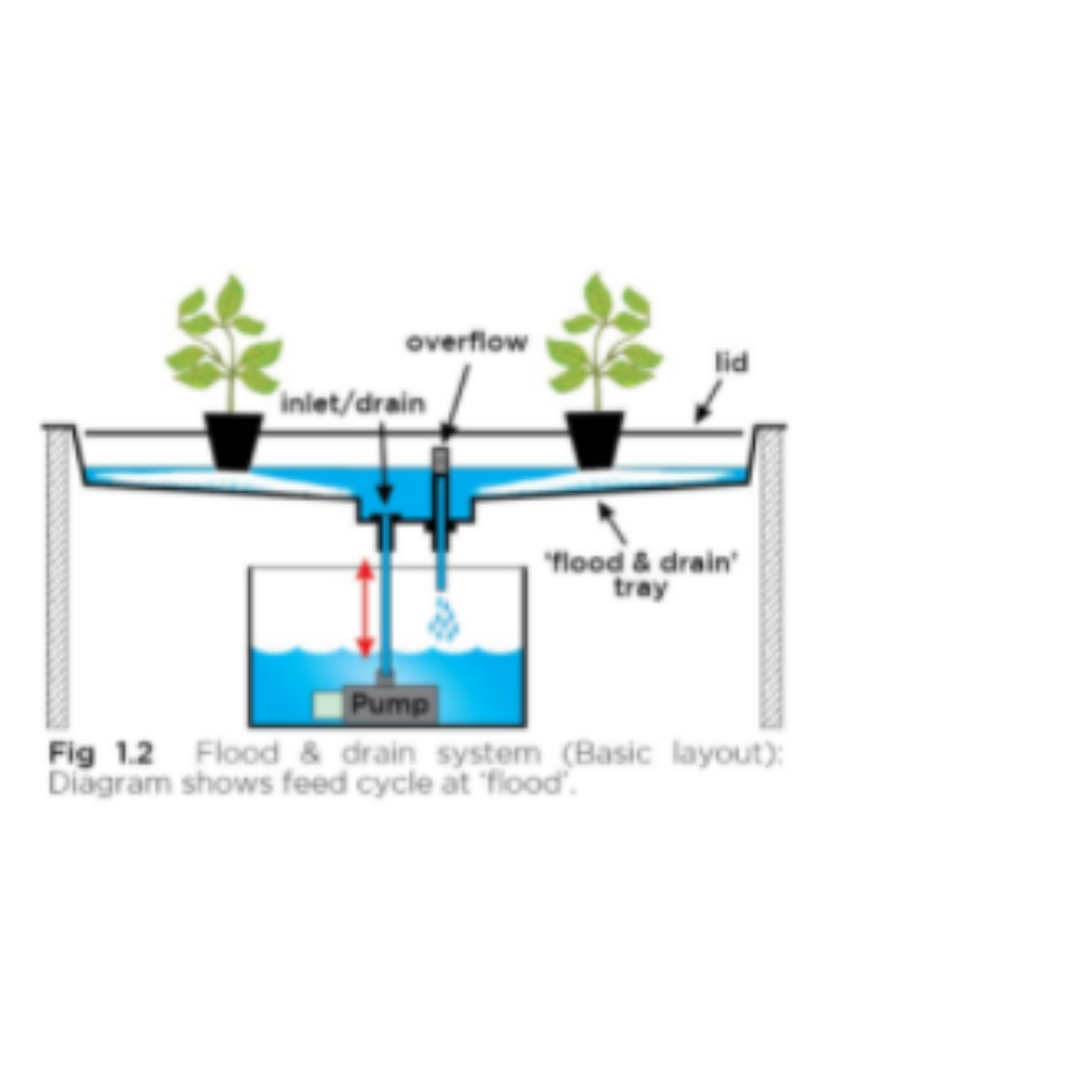 Floramax Hydroponics Manual