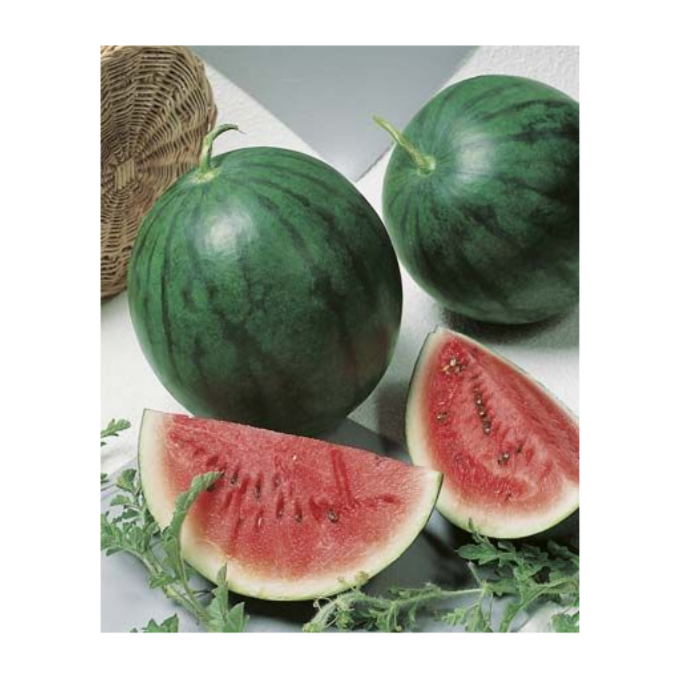 Water Melon Sugar Baby Seeds