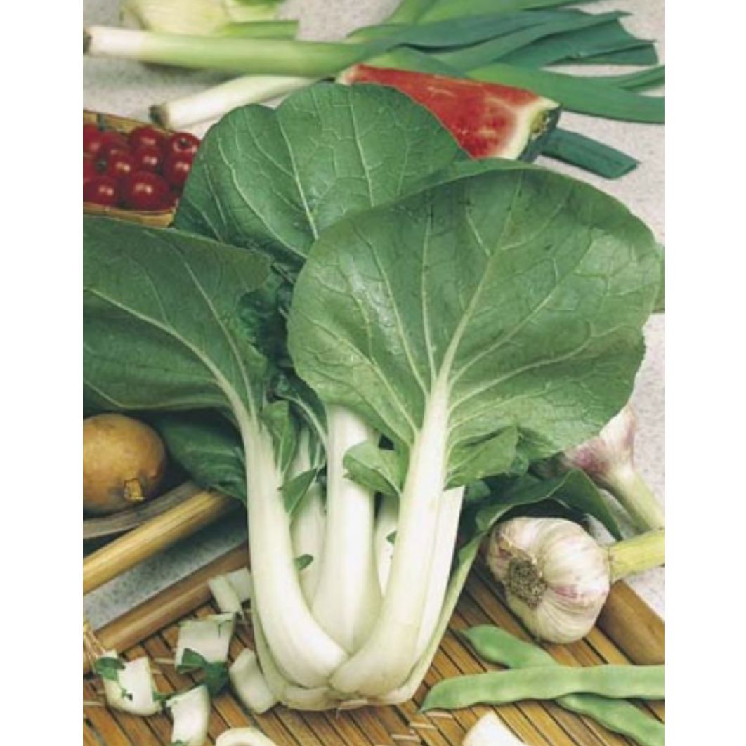 Pak Choi
