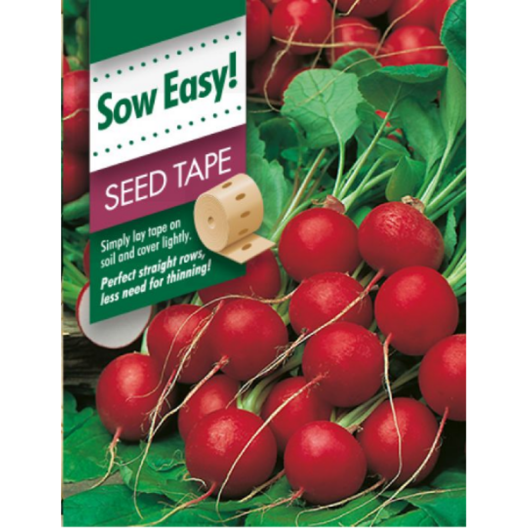 Radish - Cherry Belle ( Seed Tape )