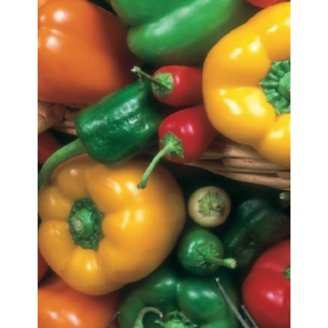 Capsicum - Sweet Allsorts