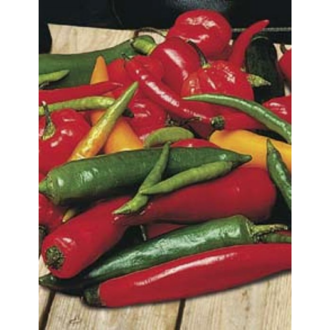 Chilli Pepper - Chilli Shake