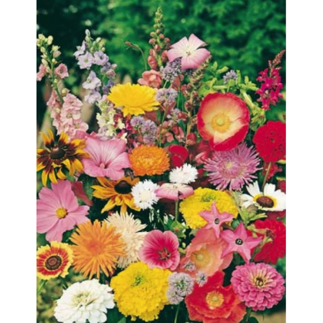 Cottage Garden Mix - Various