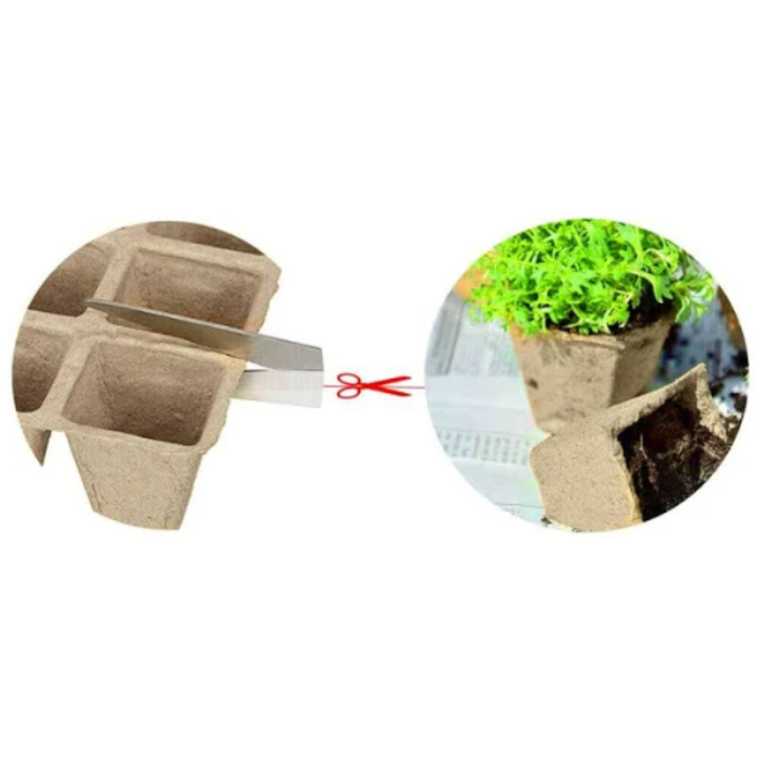Square Jiffy Strips (12 cells) - 10pk