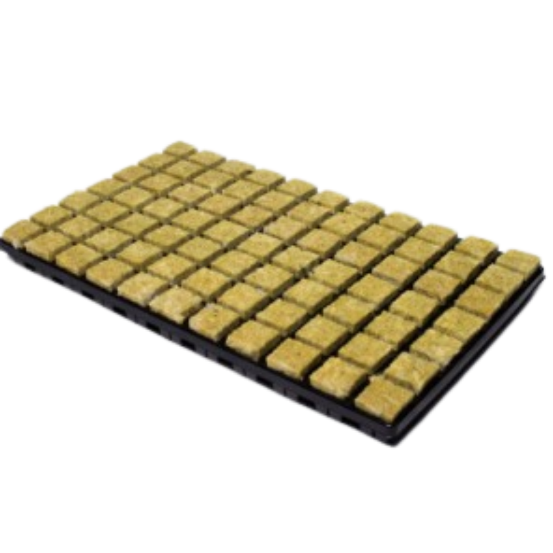 Cutilene Rockwool Tray - 35x35x40mm (Medium)