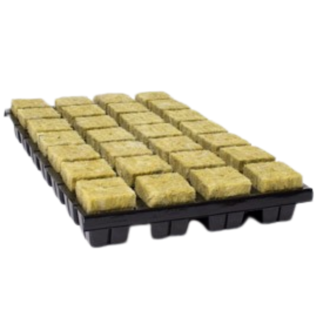Cutilene Rockwool Tray - 35x35x40mm (Medium)