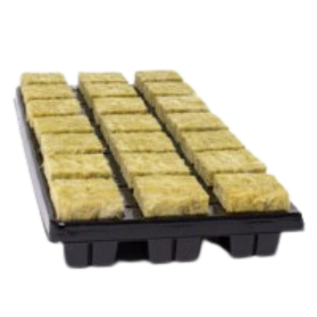 Cutilene Rockwool Tray - 35x35x40mm (Medium)