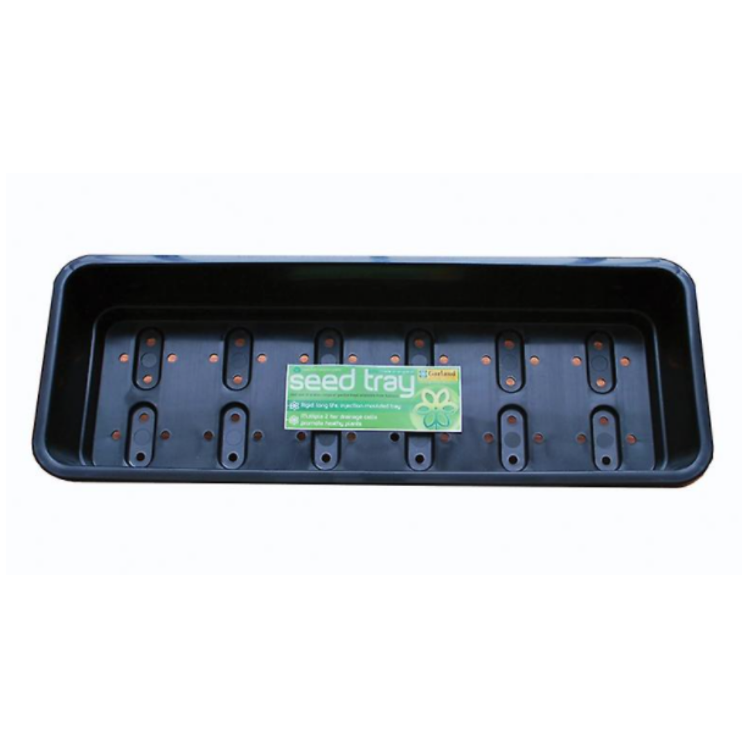 Seed Starter Tray